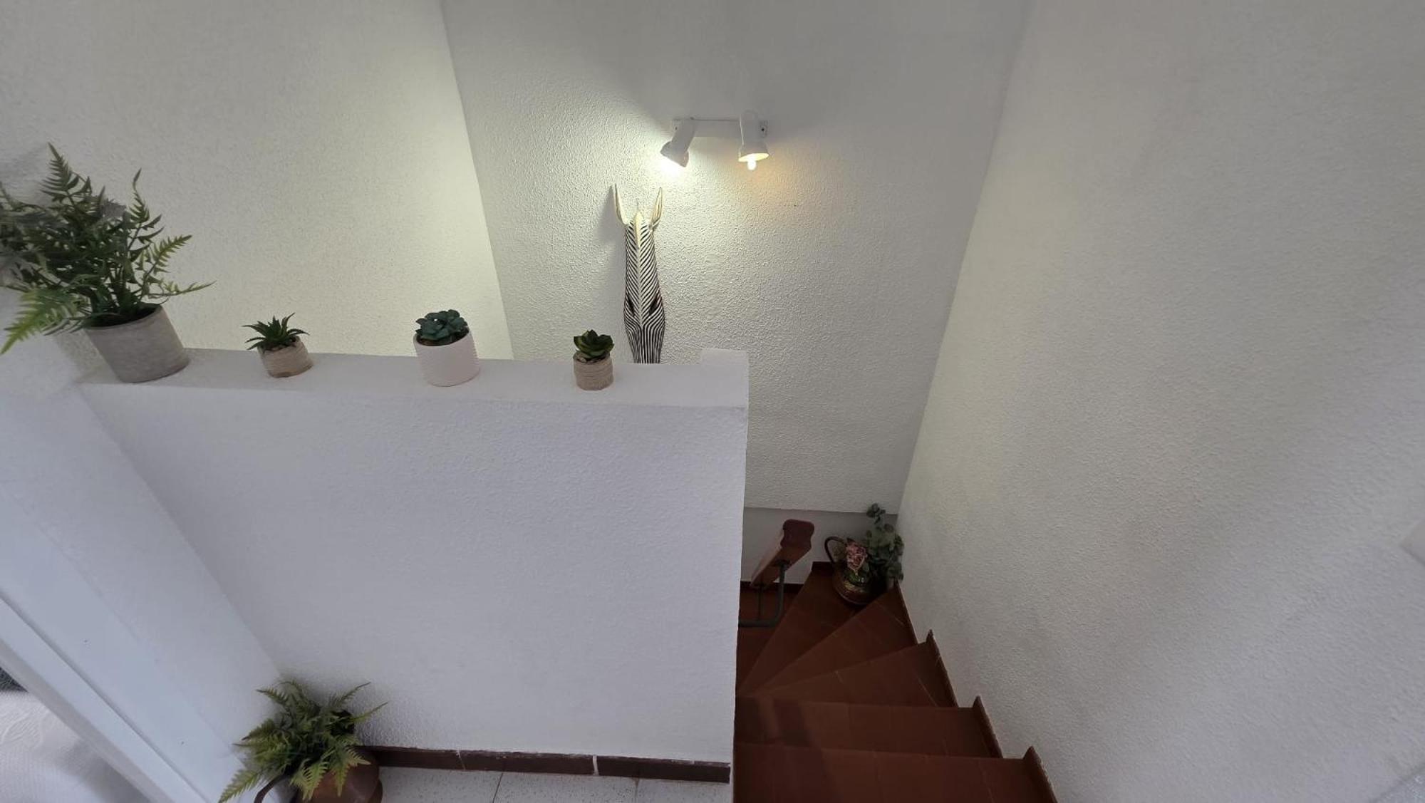 Ferienwohnung Regata Playa Oropesa del Mar Exterior foto
